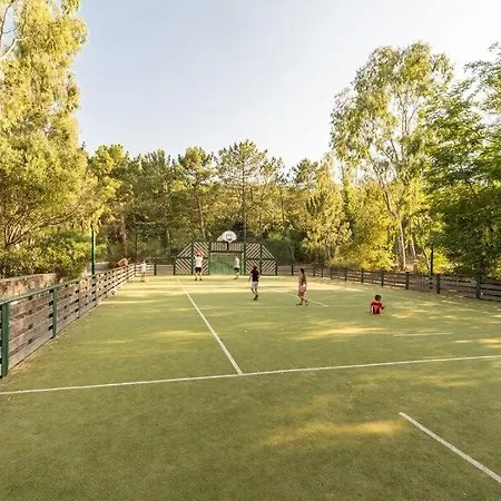 Aux Restanques Du Golfe De St Tropez - Maeva - Avec Belle Vue 5 Personnes Mae-8388 Grimaud